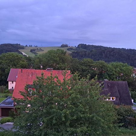 Harzer Ferienwohnung Mit Pool Und Sauna バート・ラウターベルク エクステリア 写真